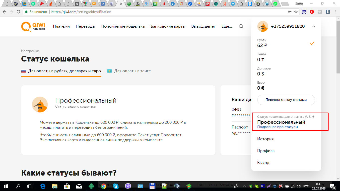 Профессиональный статус киви. QIWI статусы. Статусы QIWI кошелька. Профессиональный киви кошелек.
